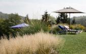Туры в отель Locanda la Raia