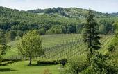 Туры в отель Locanda la Raia