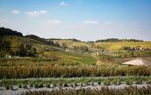 Туры в отель Locanda la Raia