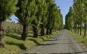 Туры в отель Locanda la Raia