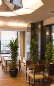 Туры в отель Rhino Hotel Kyoto