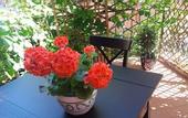 Туры в отель Albergo Italia