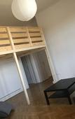 Туры в отель Baroque Hostel & Coworking