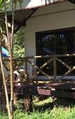 Туры в отель Lonely Beach Pool Resort