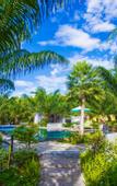 Туры в отель Palm Pran Resort