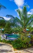 Туры в отель Palm Pran Resort