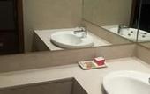 Туры в отель The Royal Orchid