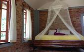 Туры в отель Golden Pearl Beach Resort
