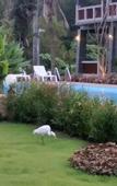 Туры в отель Lanta Infinity Resort