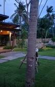 Туры в отель Lanta Infinity Resort