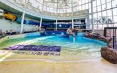 Туры в отель Lotte Resort Sokcho