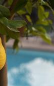 Туры в отель Relais Le Macine di Stigliano