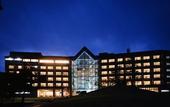 Туры в отель Yakushima Iwasaki Hotel