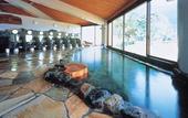 Туры в отель Yakushima Iwasaki Hotel