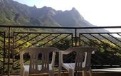 Туры в отель Yakushima Iwasaki Hotel