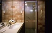 Туры в отель Yakushima Iwasaki Hotel