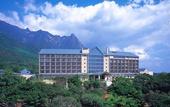 Туры в отель Yakushima Iwasaki Hotel