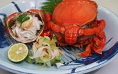 Туры в отель Yakushima Iwasaki Hotel