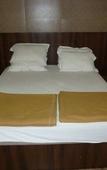 Туры в отель Hotel Regal Palace
