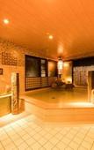 Туры в отель Dormy Inn Matsuyama Natural Hot Spring