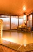 Туры в отель Dormy Inn Matsuyama Natural Hot Spring