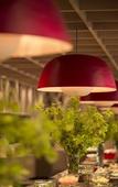 Туры в отель Hoshino Resorts Oirase Keiryu Hotel