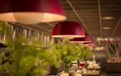 Туры в отель Hoshino Resorts Oirase Keiryu Hotel