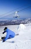 Туры в отель Hoshino Resorts Oirase Keiryu Hotel