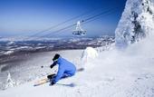 Туры в отель Hoshino Resorts Oirase Keiryu Hotel
