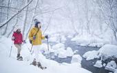 Туры в отель Hoshino Resorts Oirase Keiryu Hotel