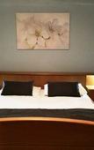 Туры в отель Hotel Atrium