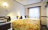 Туры в отель Toyoko Inn Matsumoto Ekimae Hommachi