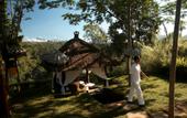 Туры в отель Kayumanis Ubud Villas