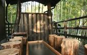 Туры в отель Kurokawa Onsen Yumerindo Hanadomari