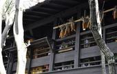 Туры в отель Kurokawa Onsen Yumerindo Hanadomari