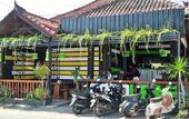 Туры в отель Singabu Bungalows