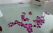 Туры в отель Nam Cuong Hai Duong Hotel