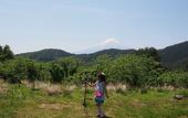 Туры в отель Guesthouse Sakuya