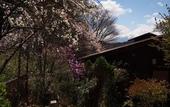 Туры в отель Guesthouse Sakuya