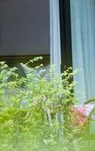 Туры в отель The Tito Suite Residence