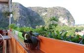 Туры в отель Sierra Homestay