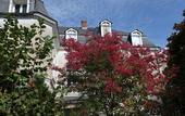 Туры в отель La Maison Jules