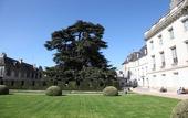 Туры в отель La Maison Jules