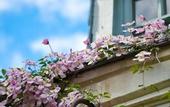 Туры в отель La Maison Jules