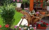 Туры в отель Vien Guest House