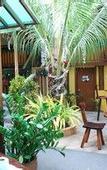 Туры в отель Mam Olson Pensionne House