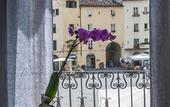 Туры в отель B&B Arena di Lucca