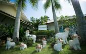 Туры в отель Nisasiri Boutique Resort
