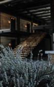 Туры в отель Warehouse By The Stay