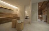 Туры в отель Hotel Le Whymper